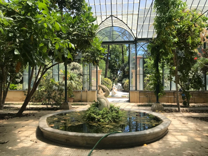 Picture of the inside of a greenhouse in the Palermo Botanical Garden