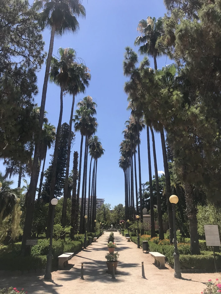 The avenue at the entrance to Villa Giulia Park