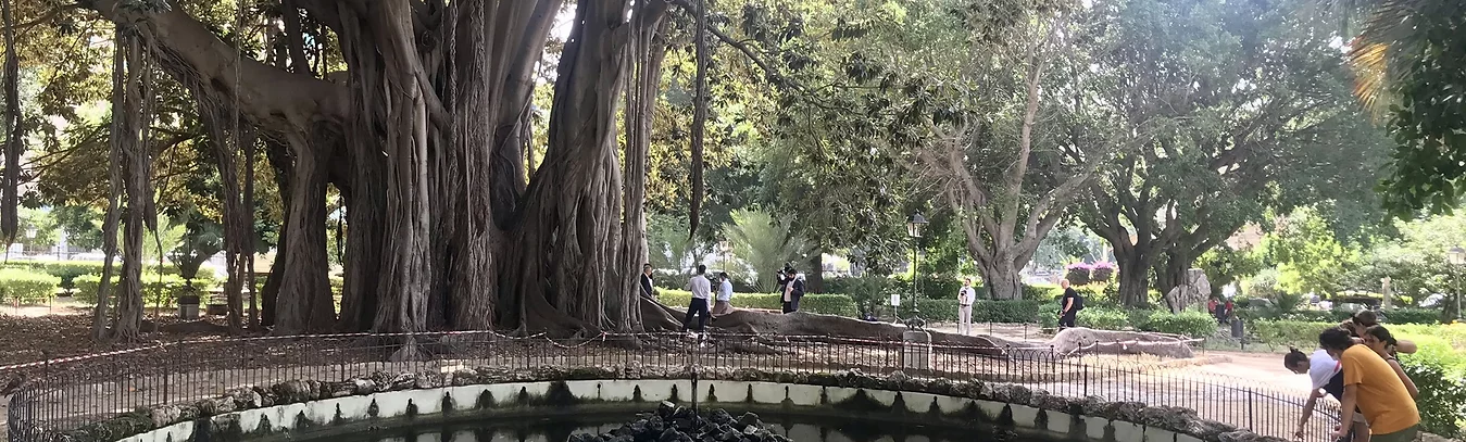 View of the fountain in the Giardino Garibaldi park in Palermo