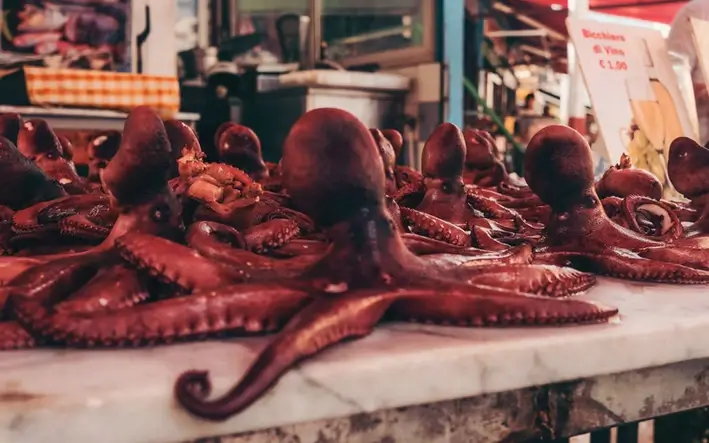 Cooked octopus on a stand in Palermo