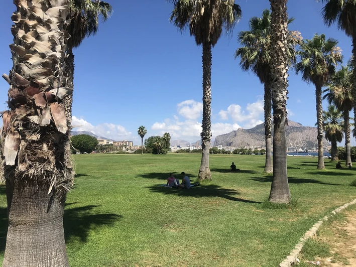 Palm Avenue at the Foro Italico