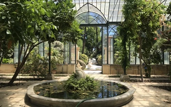 Greenhouse interior