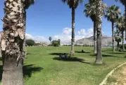 Palm Avenue at the Foro Italico