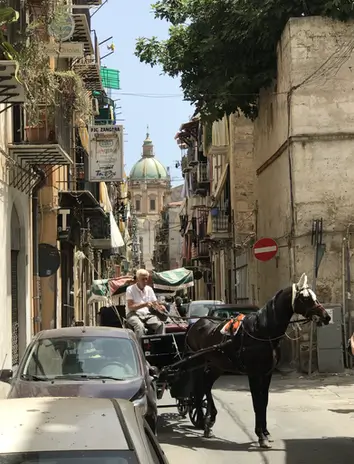 Horse-drawn carriage in Palermo