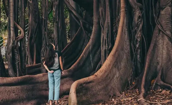 Woman under a fig tree in the Giardino Garibaldi in Palermo